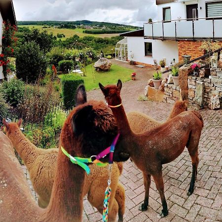 Ferienwohnung Alpaka Blick Schneppenbach エクステリア 写真