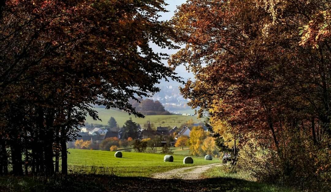Ferienwohnung Alpaka Blick Schneppenbach エクステリア 写真