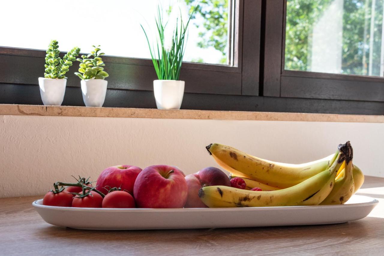 Ferienwohnung Alpaka Blick Schneppenbach エクステリア 写真