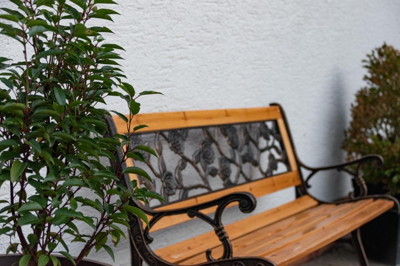 Ferienwohnung Alpaka Blick Schneppenbach エクステリア 写真
