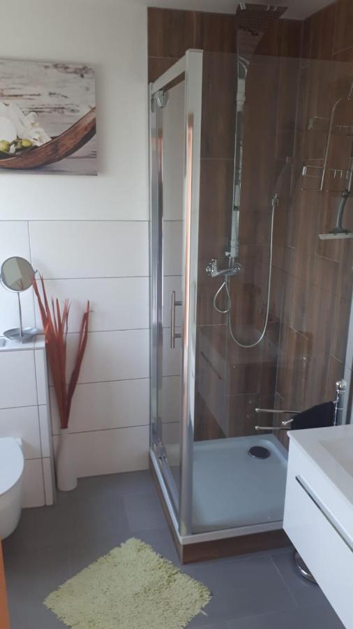Ferienwohnung Alpaka Blick Schneppenbach エクステリア 写真