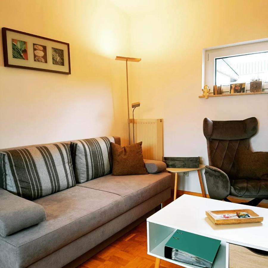 Ferienwohnung Alpaka Blick Schneppenbach エクステリア 写真